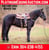 Horse ad