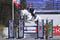 Annuncio cavallo