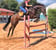 Annuncio cavallo