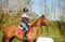 Horse ad