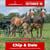 Paardadvertentie