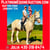 Horse ad