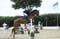 Horse ad