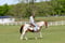 Horse ad