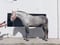 Annonce cheval