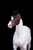 Annuncio cavallo