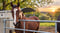 Horse ad
