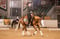 Horse ad