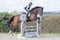 Annuncio cavallo