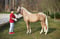 Horse ad