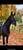 Paardadvertentie