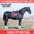 Horse ad