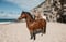 Horse ad