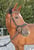 Horse ad