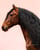 Horse ad