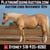 Horse ad
