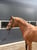 Annonce cheval