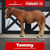Horse ad
