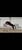 Horse ad