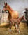Annuncio cavallo