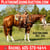 Horse ad