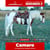 Paardadvertentie