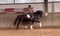 Horse ad