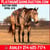 Annuncio cavallo