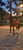 Annuncio cavallo