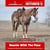 Paardadvertentie