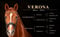 Annuncio cavallo