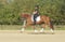 Annuncio cavallo