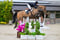 Horse ad
