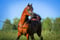 Annonce cheval
