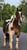 Annuncio cavallo