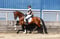 Horse ad