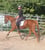 Horse ad