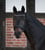 Horse ad