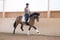 Horse ad