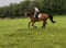 Horse ad