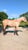 Horse ad