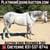 Horse ad