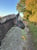 Horse ad