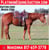 Annonce cheval