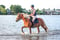 Horse ad