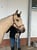 Horse ad