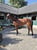Horse ad