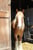 Horse ad