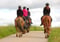 Horse ad