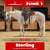Annuncio cavallo